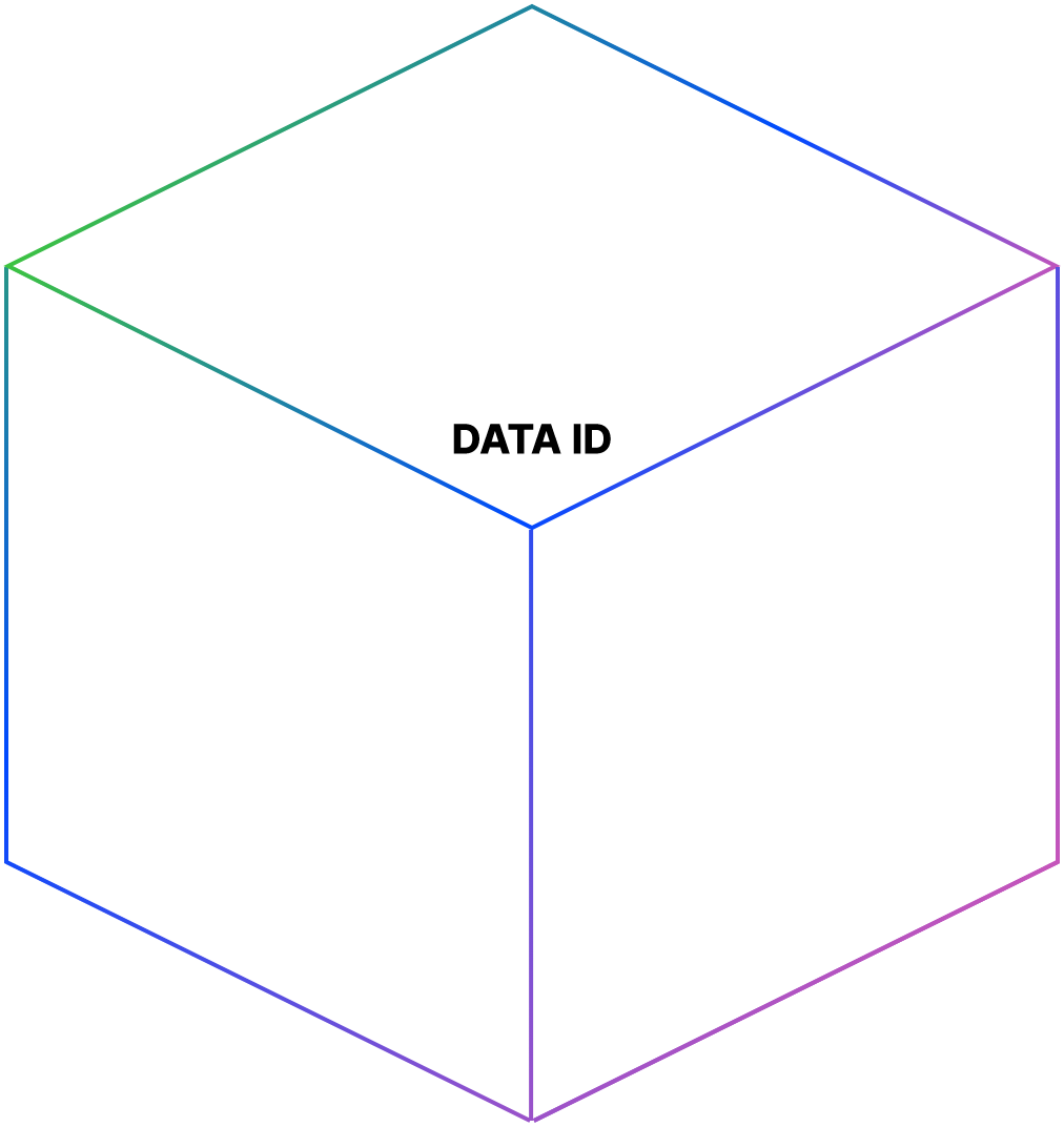 DATA ID CUBE