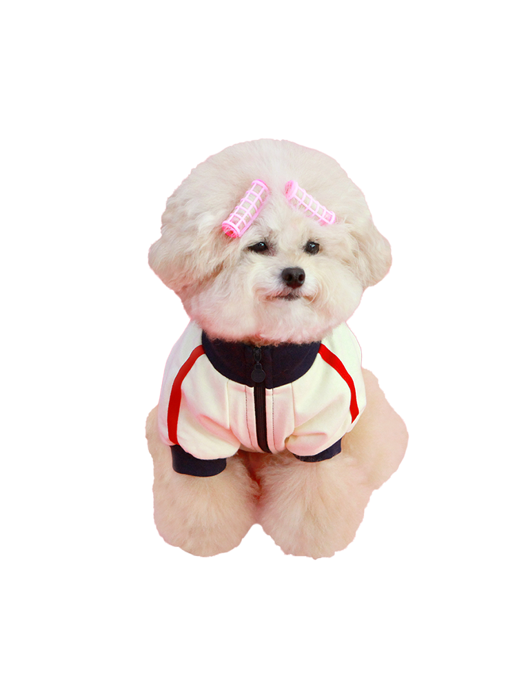 키니 트레이닝 집업